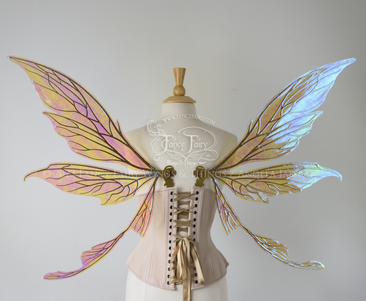 Back view of a dress form wearing an underbust corset & large blue iridescent fairy wings with gold veins. Upper panels are elongated with pointed tips, curved ‘tail’