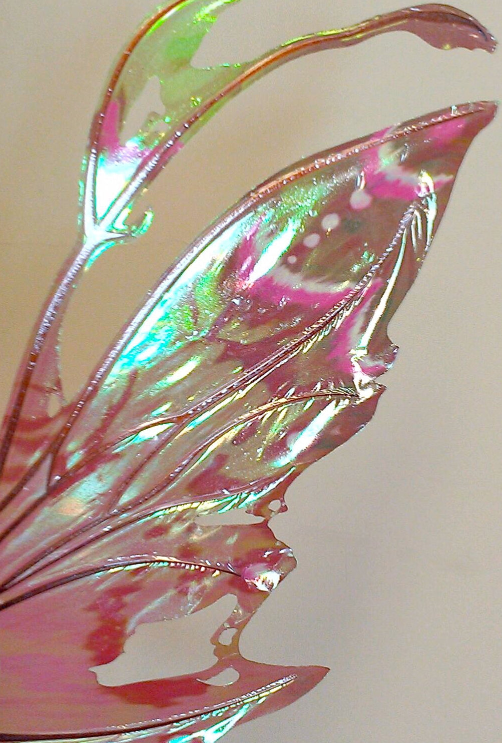 Closeup of Kira wings with muted greens and bright pinks
