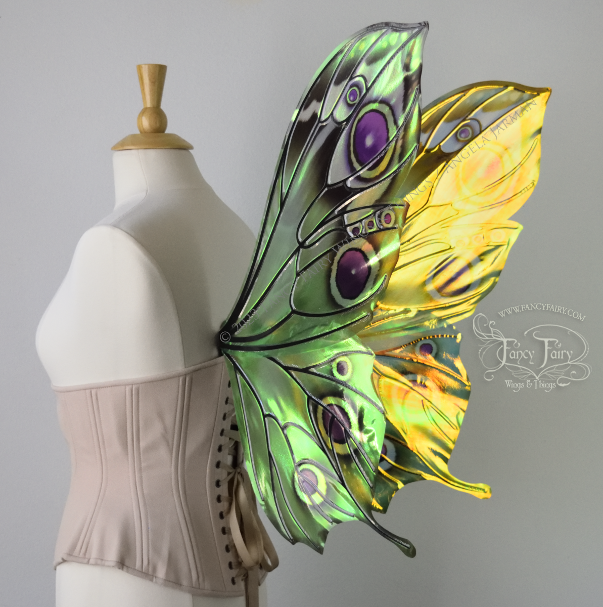 Back right 3/4 view of iridescent green, black and fuchsia costume fairy wings, worn on a dressform