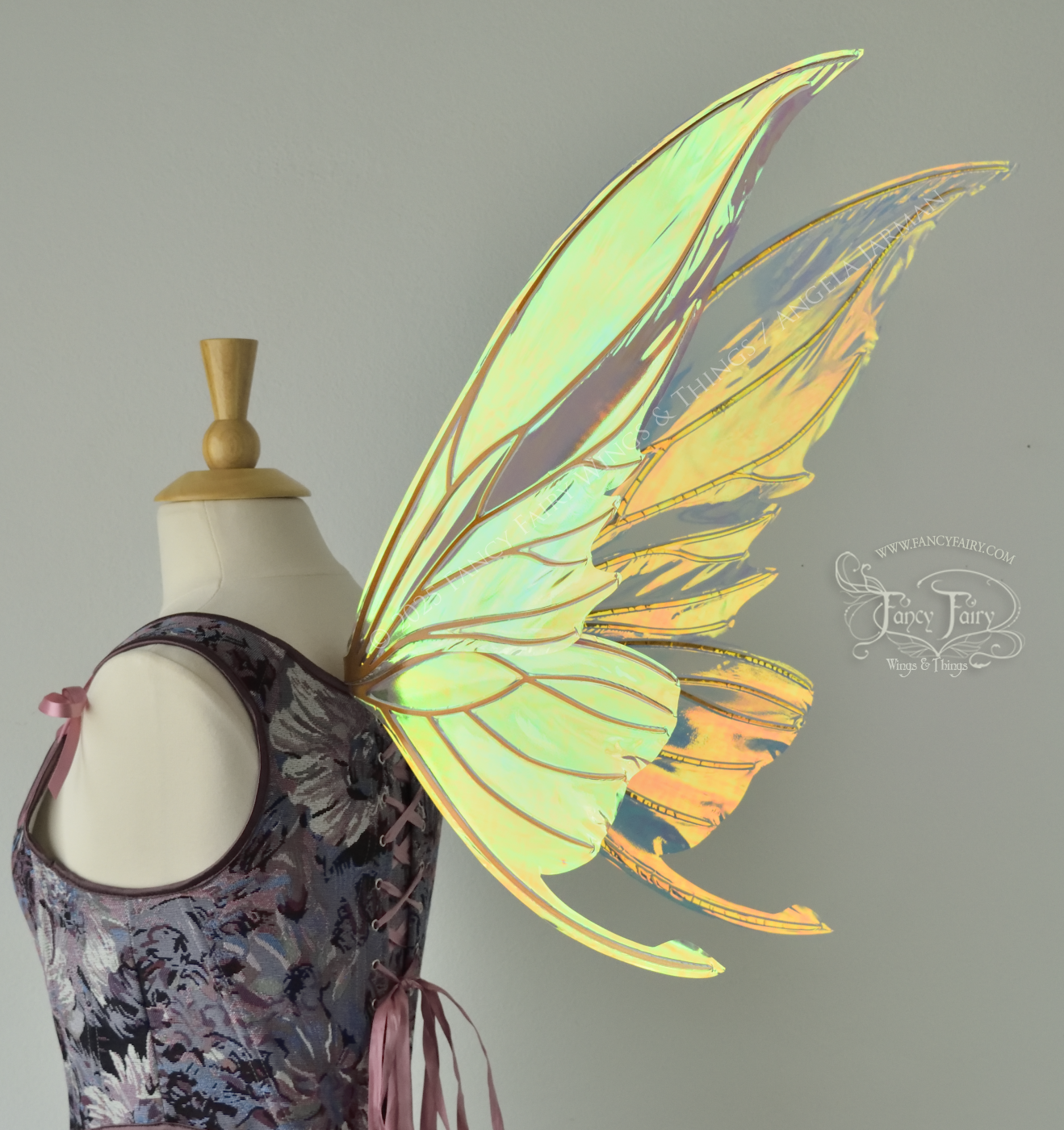 Iridescent transparent gold / orange / green fairy wings with small tails & black veins worn on a dress form, back 3/4 view