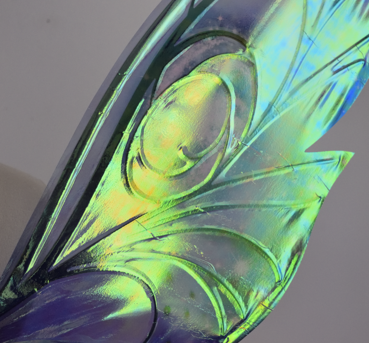 Closeup of back of wing showing some wrinkling