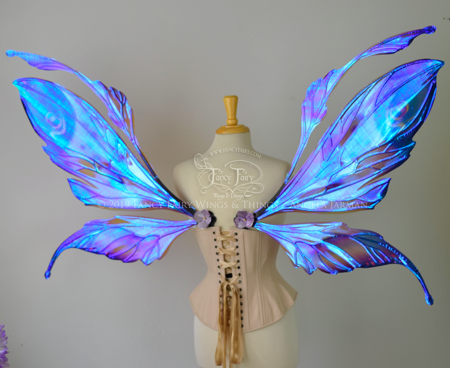 Back view of a dress form wearing an underbust corset & extra large iridescent fairy wings with mauve purple & blue color pattern