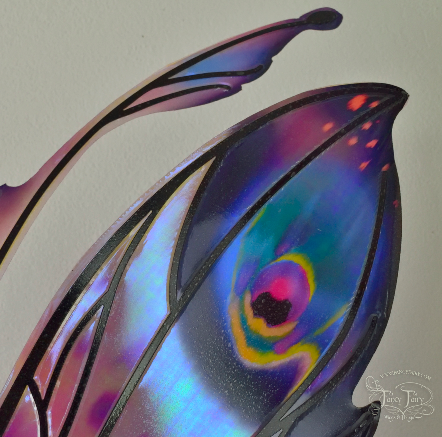 Close up of wing's 'eye' detail