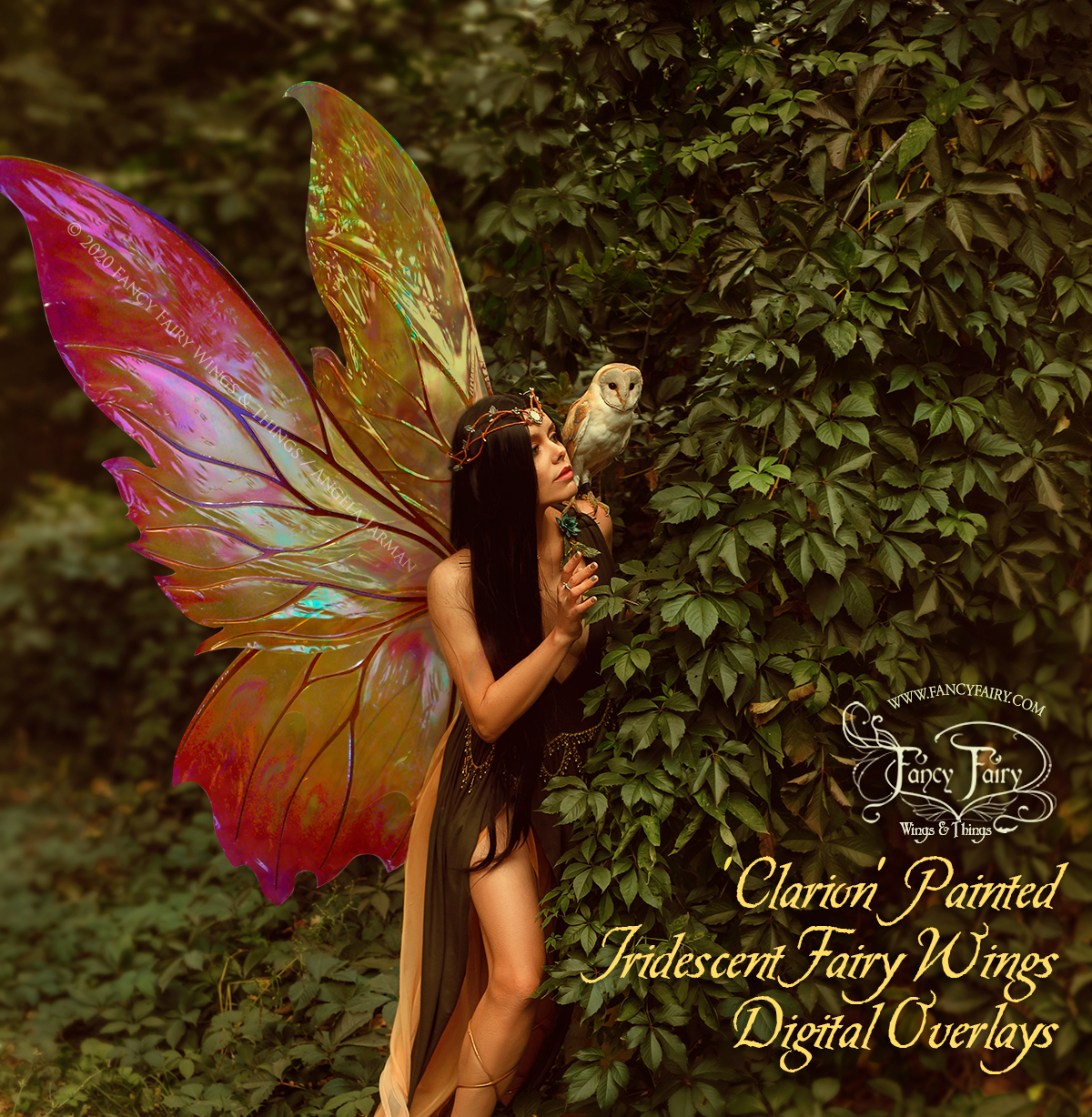 Clarion Painted Fairy Wings Overlays PNG files to Edit