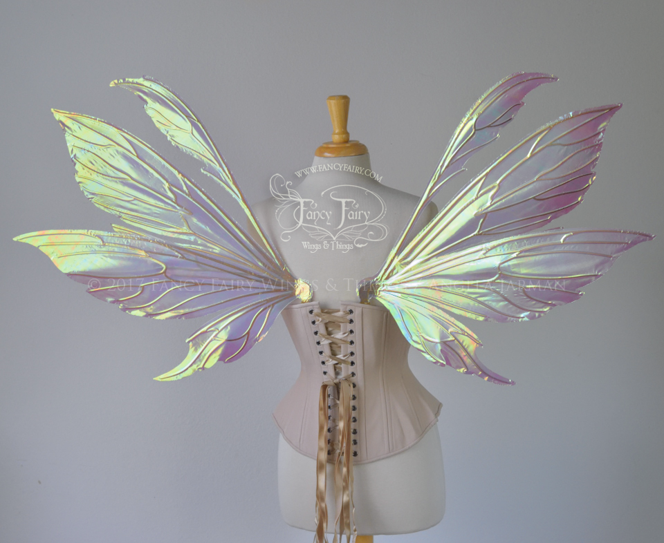 Aynia "Rose Blush" Painted Iridescent Fairy Wings with Gold Veins