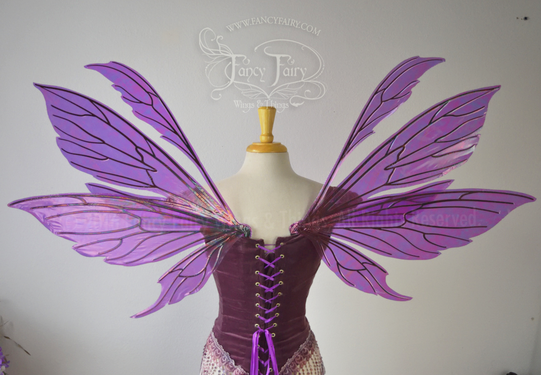 Aynia Iridescent Fairy Wings in Purple with Black veins