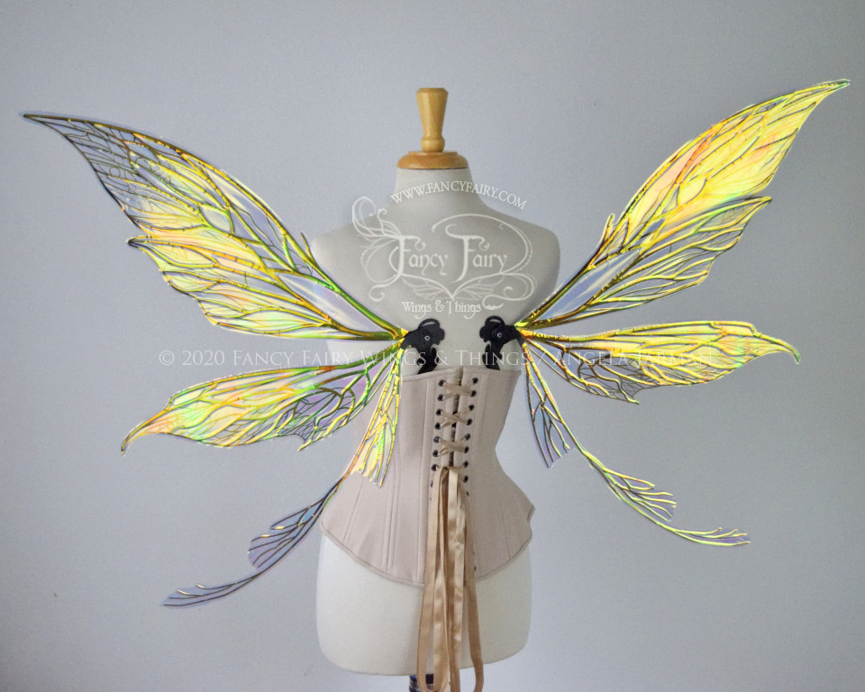 Colette Convertible Iridescent "Pix" Fairy Wings in Clear Diamond Fire with Black veins