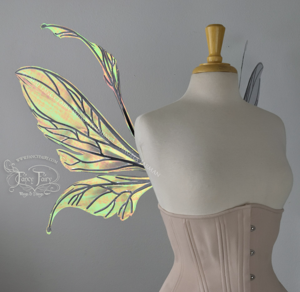 Made to Order Datura Iridescent Convertible Fairy Wings with black veins