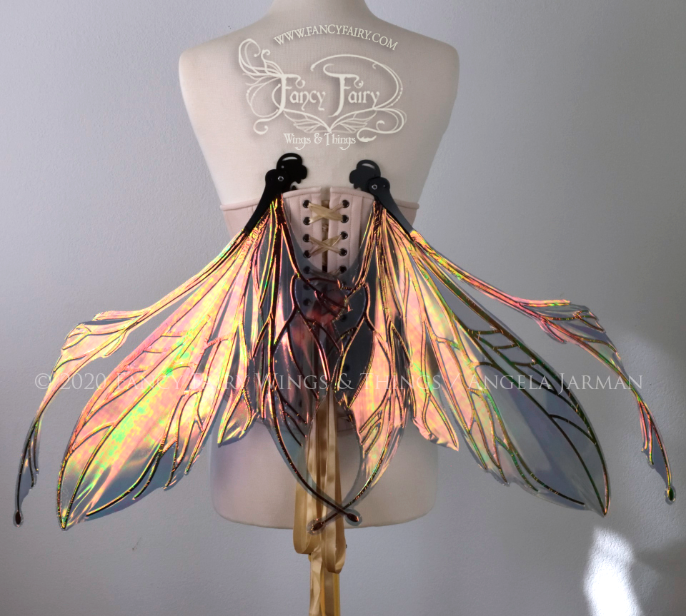 Back view of dress form wearing an underbust corset and large iridescent orange / green fairy wings in resting position featuring antennae along the top. The upper panels are elongated with semi-pointed tips, the lower panels are smaller with slender tips that curve downward. The veins are black