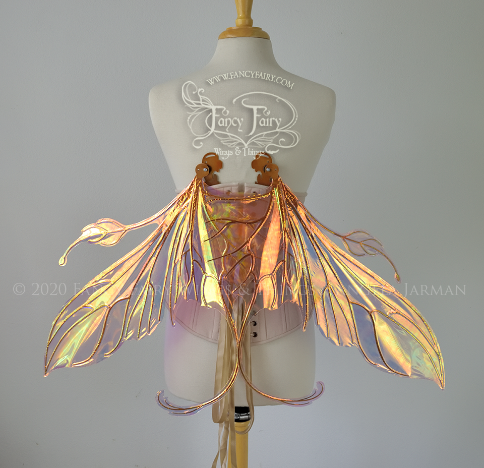 Elvina Iridescent Convertible Fairy Wings in Spiked Punch with Copper veins