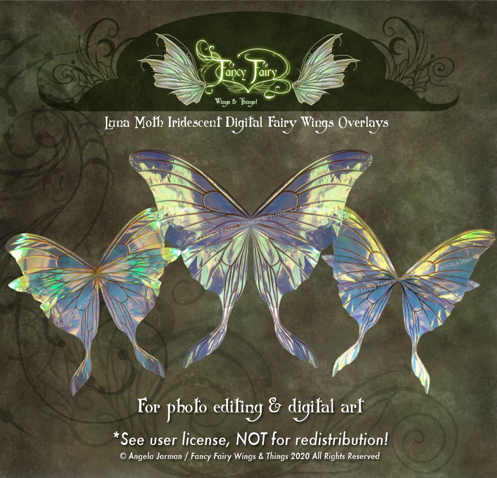 Luna Moth Iridescent Fairy Wings Overlays PNG files for photo edit