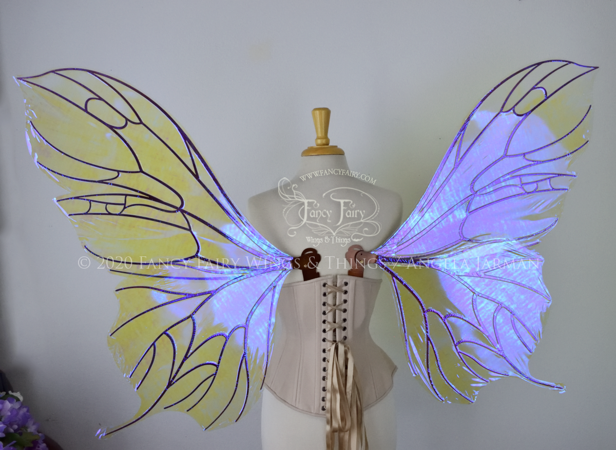 Extra Large Pansy Iridescent Convertible Fairy Wings in Ultraviolet with Copper veins
