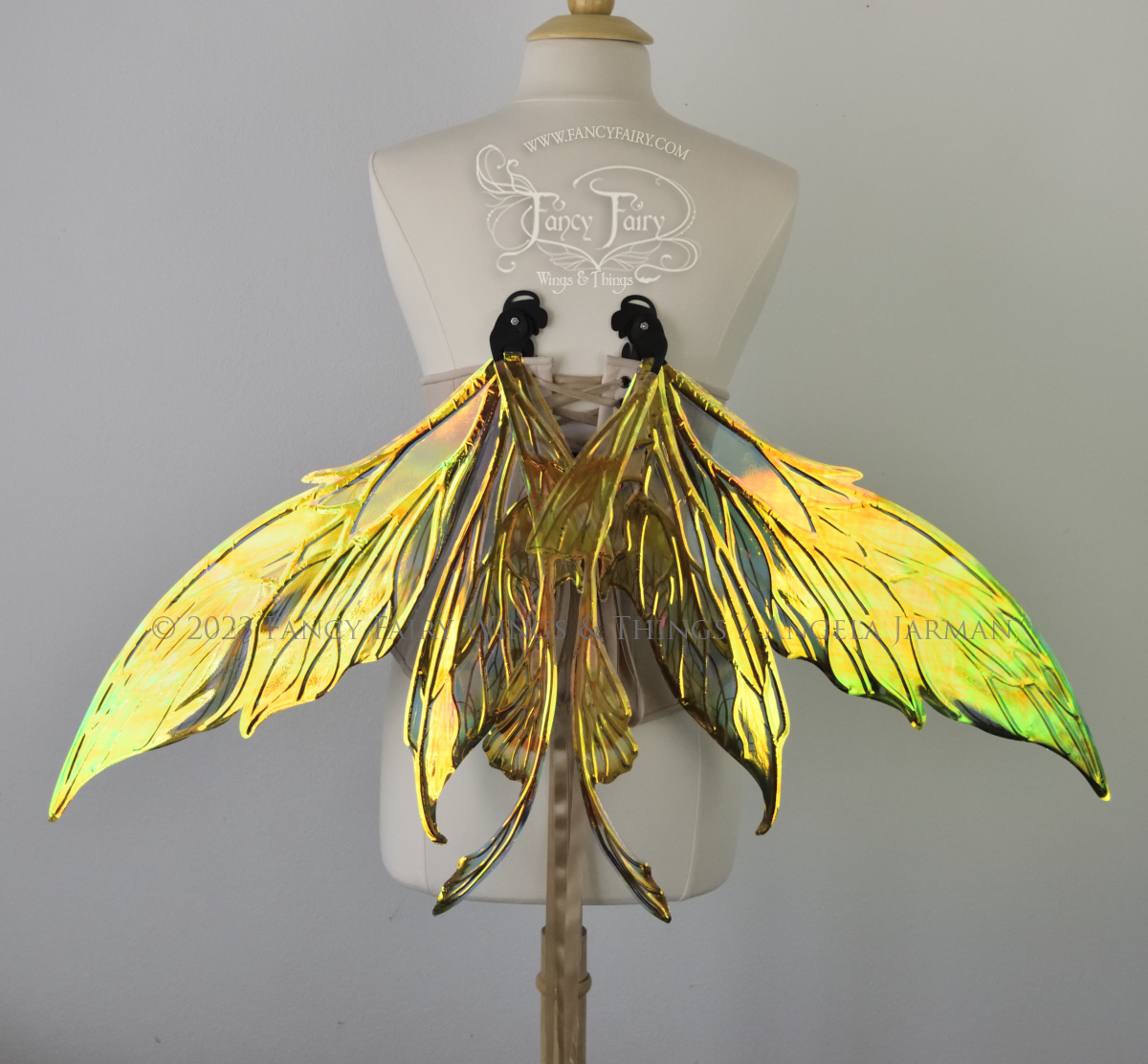 Back view of large green, gold & black painted iridescent fairy wings with black veins. Upper panels are elongated with pointed tips, a ‘tail’, lots of vein detail, in resting position