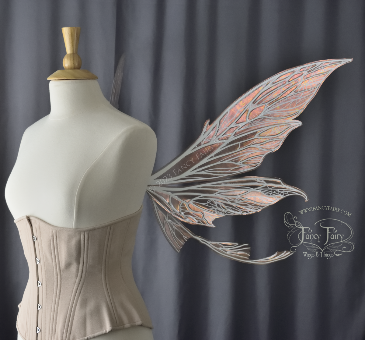 Rt Side view of a dress form wearing an underbust corset & large Rose Gold iridescent fairy wings with tails & lots of detailed white veins.