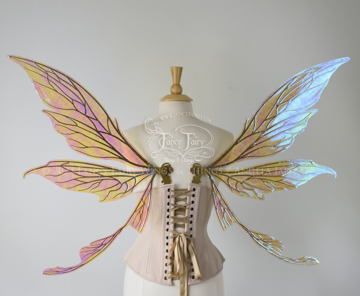 Back view of a dress form wearing an underbust corset & large blue iridescent fairy wings with gold veins. Upper panels are elongated with pointed tips, curved ‘tail’ 