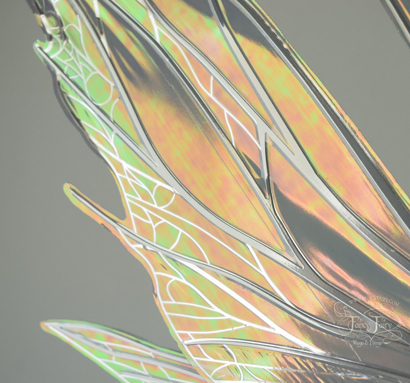 Close up of oil slick colored iridescent fairy wings showing faint diagonal line