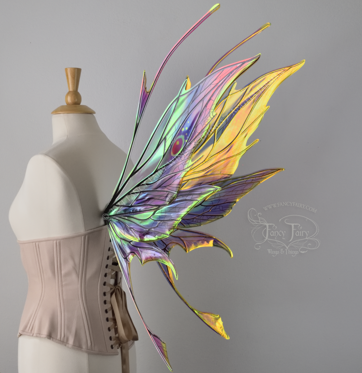 Back right 3/4 view of a dress form wearing an underbust corset & large rainbow iridescent fairy wings featuring antennae along the top. Upper panels come to a point, bottom panels have tails. Spikey, detailed black veins