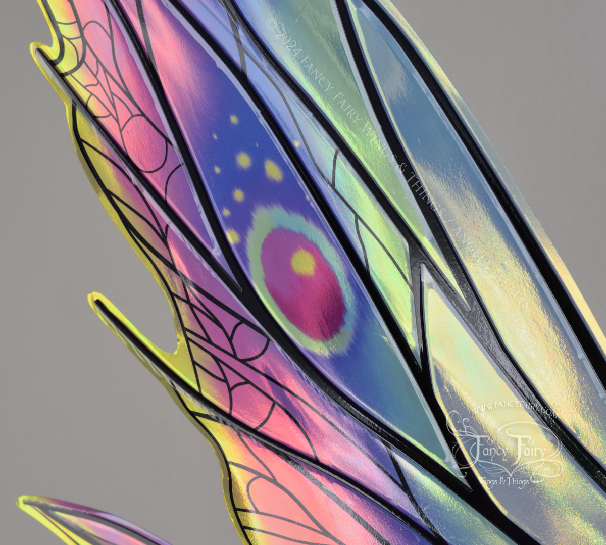 Closeup of the 'eye' in a set of rainbow iridescent fairy wings with detailed black veins