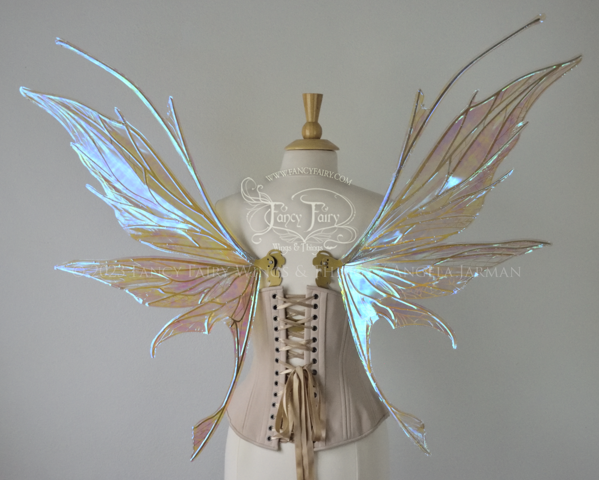 Back view of a dress form wearing an underbust corset & large blue/green iridescent fairy wings with antennae, gold veins, spikey shapes