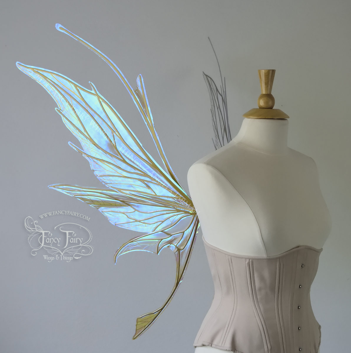 Left side view of a dress form wearing an underbust corset & large blue/green iridescent fairy wings with antennae, gold veins, spikey shapes