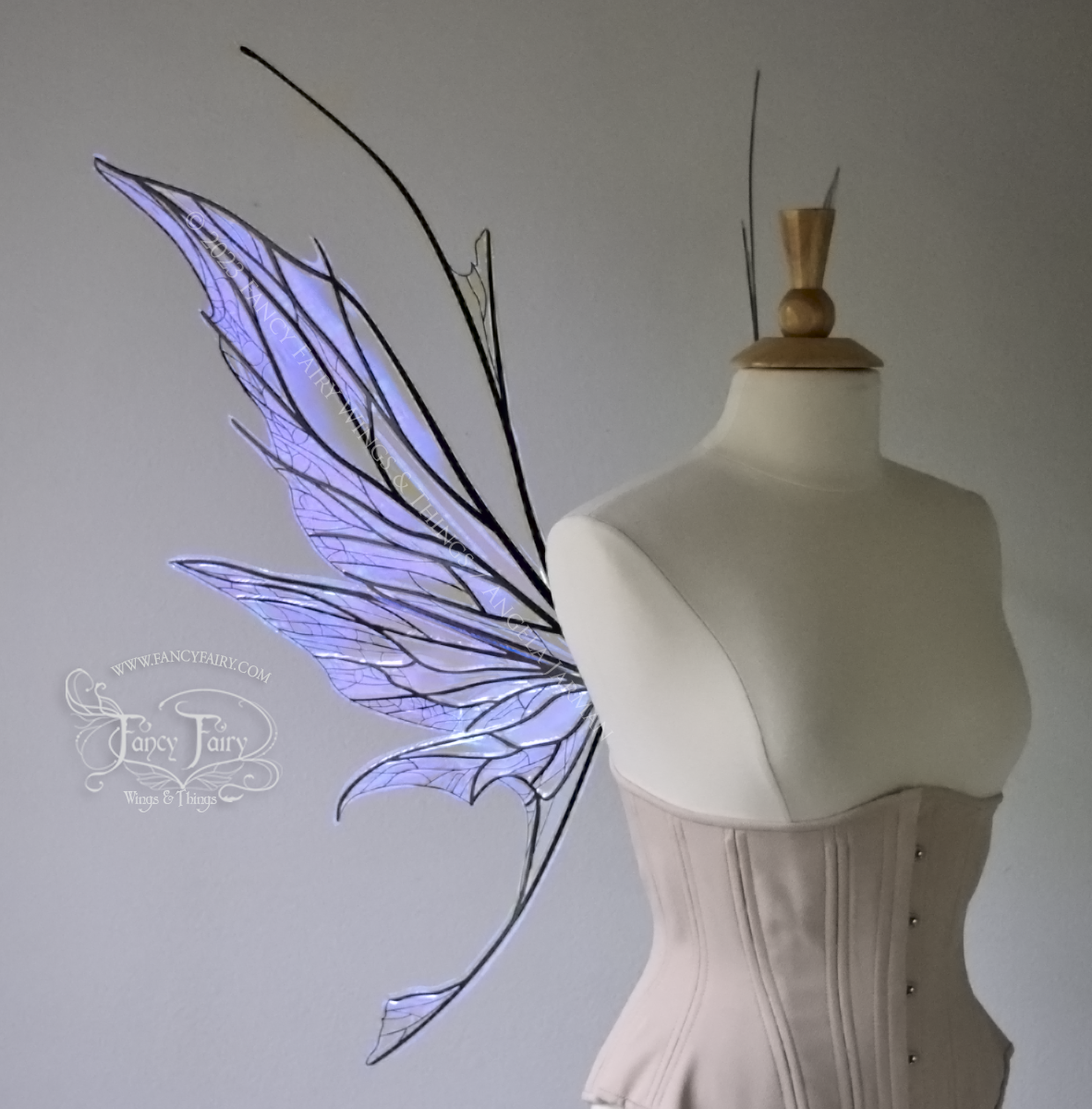 Left side view of a dress form wearing an underbust corset & large violet iridescent fairy wings with antennae, black veins, spikey shapes