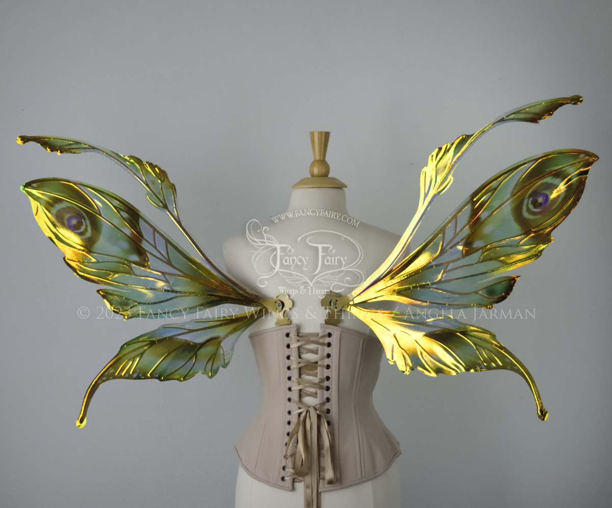 Back view of a dress form wearing an underbust corset & large iridescent fairy wings with green & gold color pattern