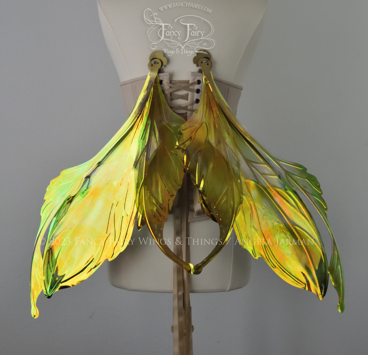 Back view of a dress form wearing an underbust corset & large iridescent fairy wings with green & gold color pattern, in resting position