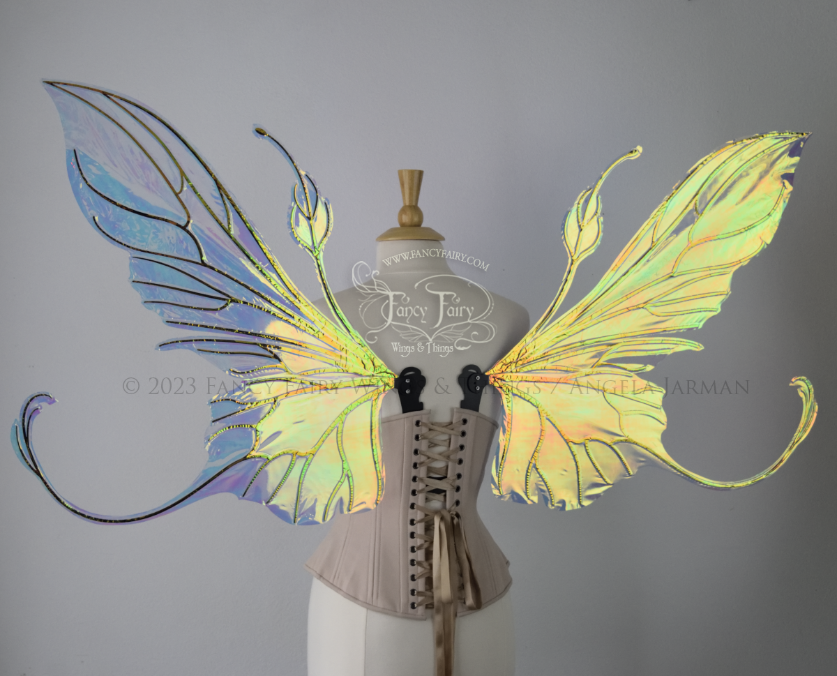 Back view of an ivory dress form wearing an alabaster underbust corset & extra large iridescent fairy wings with elongated upper panels & antennae with bottom panels that have a tail curving upwards, black veins. Background is white / light grey