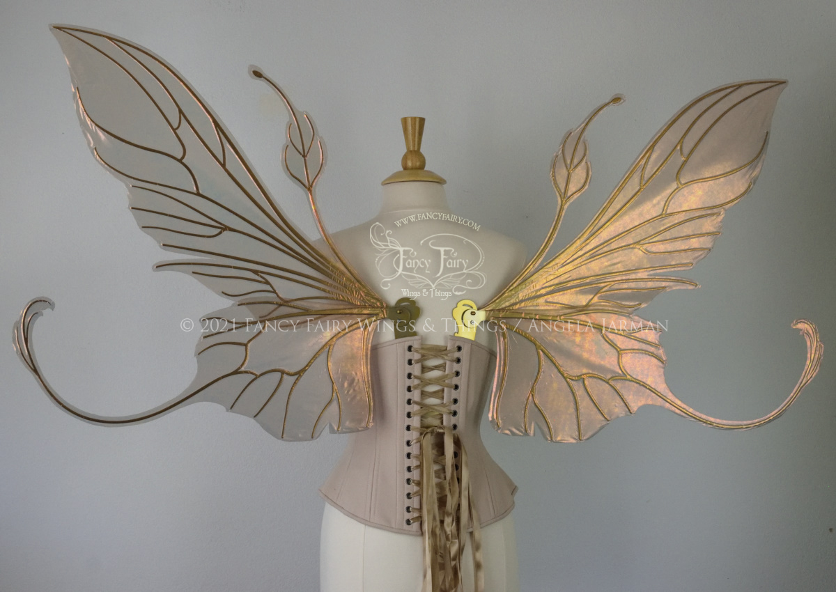 Back view of an ivory dress form wearing an alabaster underbust corset & extra large Rose Gold iridescent fairy wings with elongated upper panels & antennae with bottom panels that have a tail curving upwards, gold veins