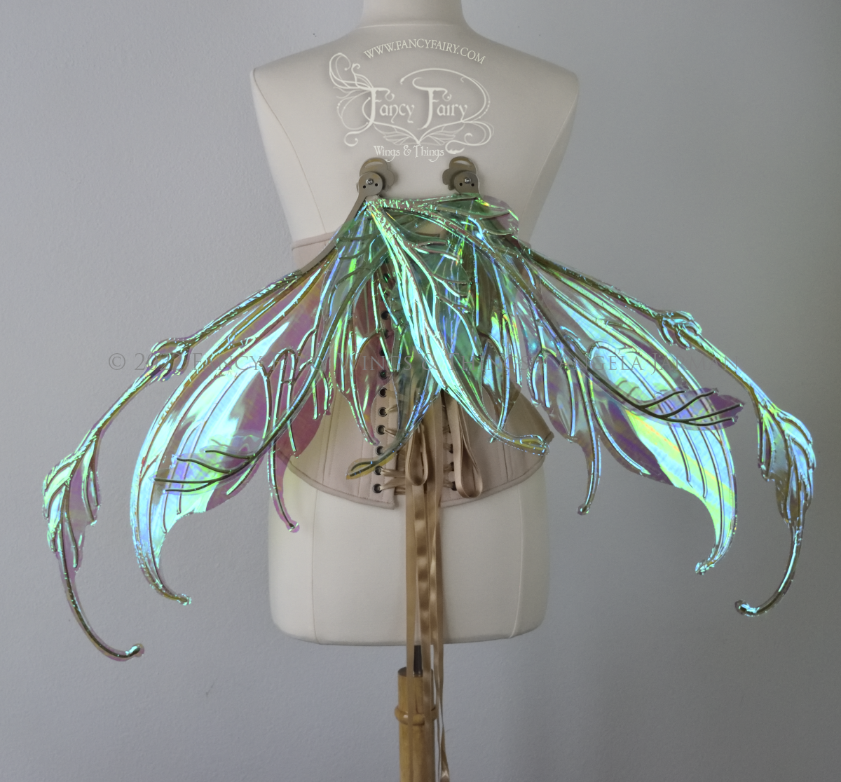 Back view of an ivory dress form wearing an alabaster underbust corset & large blue/green iridescent fairy wings (in resting position) with gold veins. The upper panels curve downward at top edge with antennae above, bottom panels have a narrow long tail