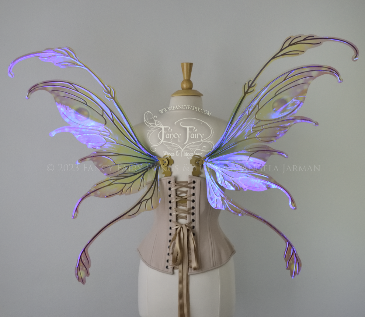 Back view of a dress form wearing an underbust corset & 'Fauna' transparent pink, violet & green iridescent fairy wings with downward curved tips, antennae & wispy 'tails', with gold veining