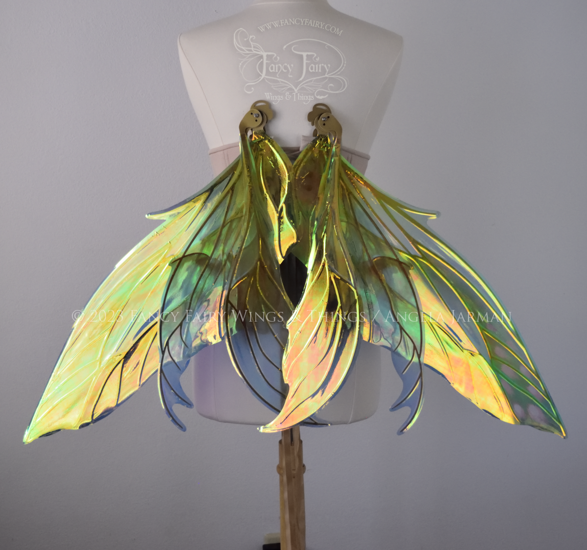 Back view of large fairy wings in iridescent green and blue with pink spots near the tips of the upper panels, with gold veins, worn on a dressform, in resting position