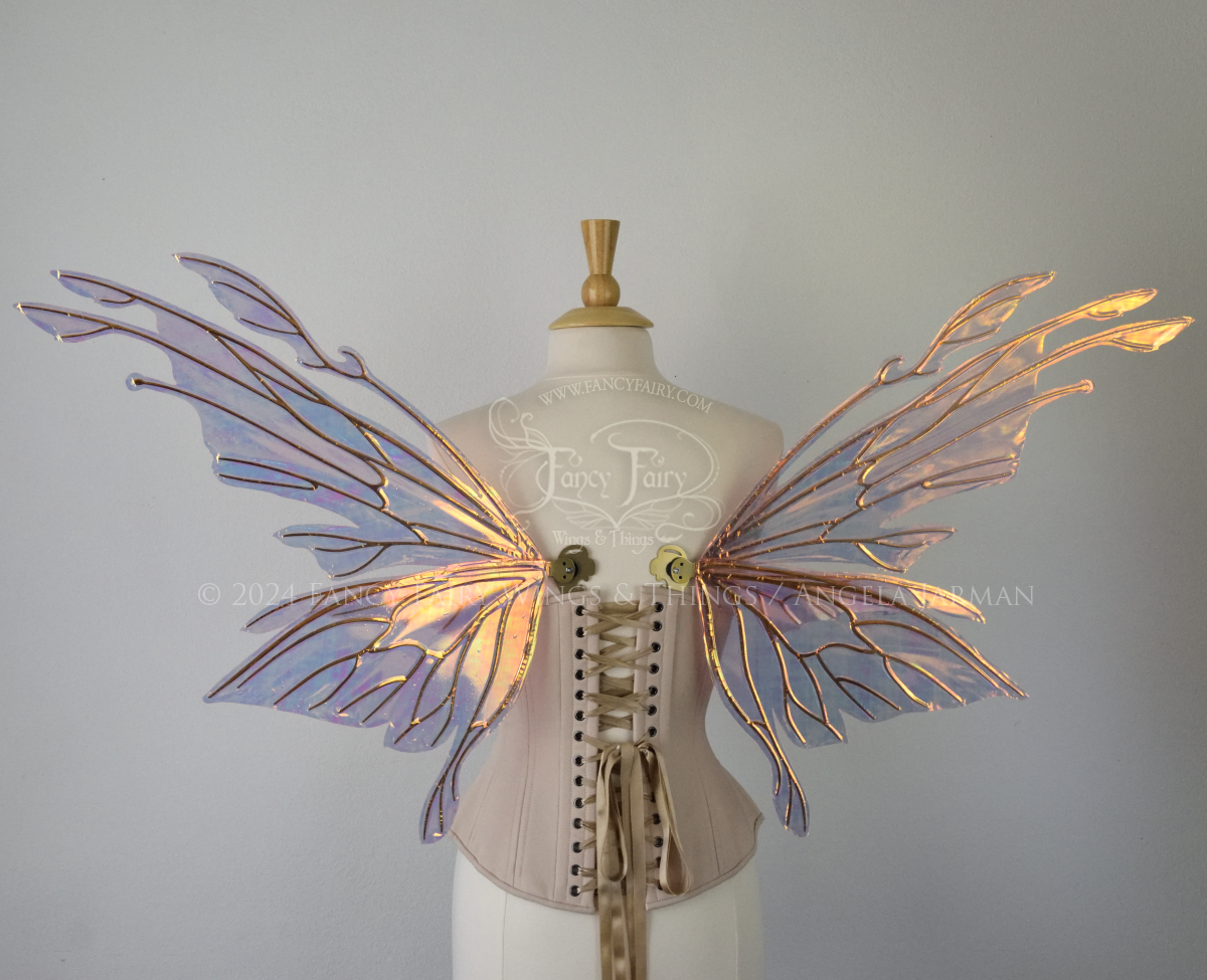 Back view of an ivory dress form wearing an alabaster underbust corset & large pink & orange iridescent fairy wings with elongated upper panels with petal like appendages at the tips & antennae, the veins are gold