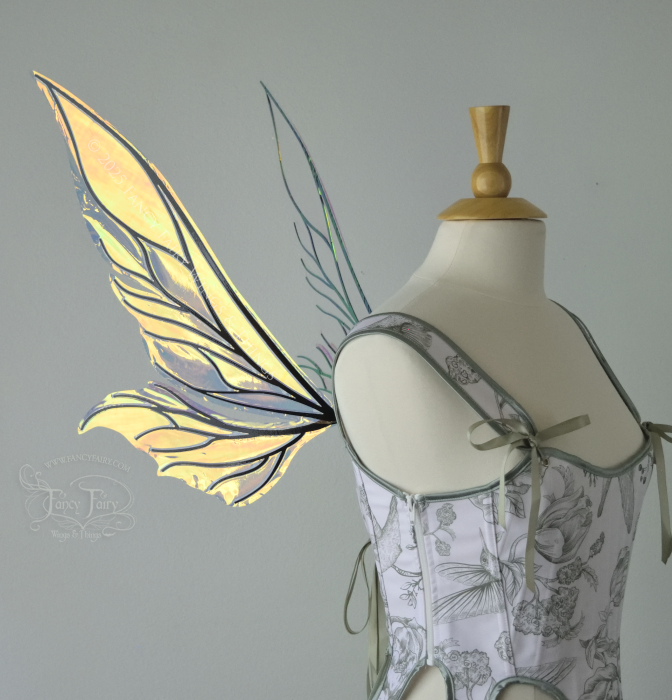 Iridescent green / orange / yellow fairy wings with elongated pointy upper panels and small leaf like lower panels, with black veins, left side view