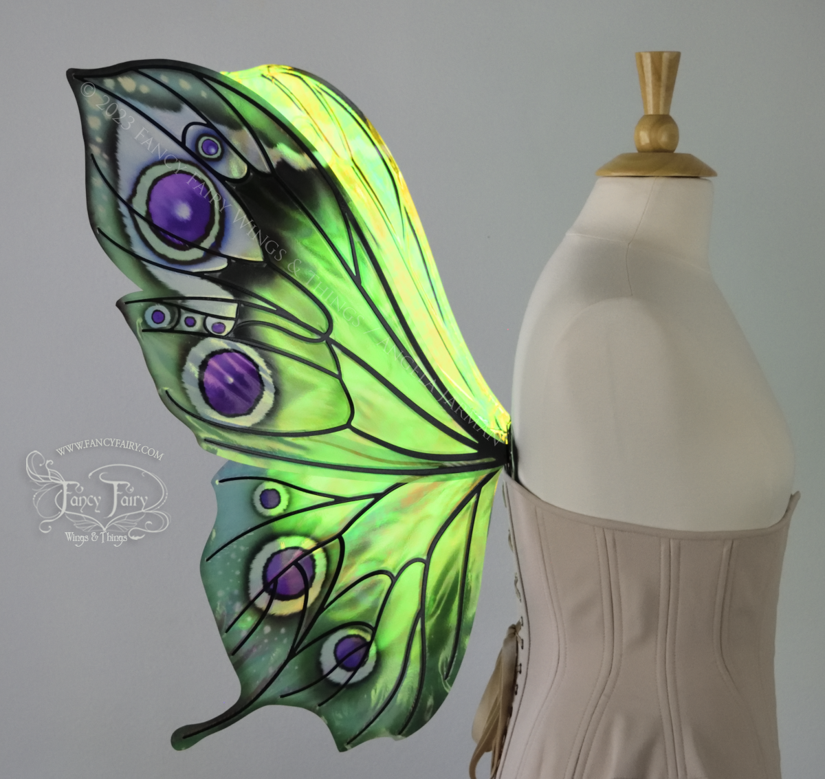 Left side view of iridescent green, black and fuchsia costume fairy wings, worn on a dressform