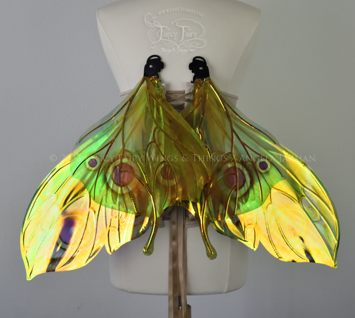 Back view of iridescent green, black and fuchsia costume fairy wings, worn on a dressform, in resting position