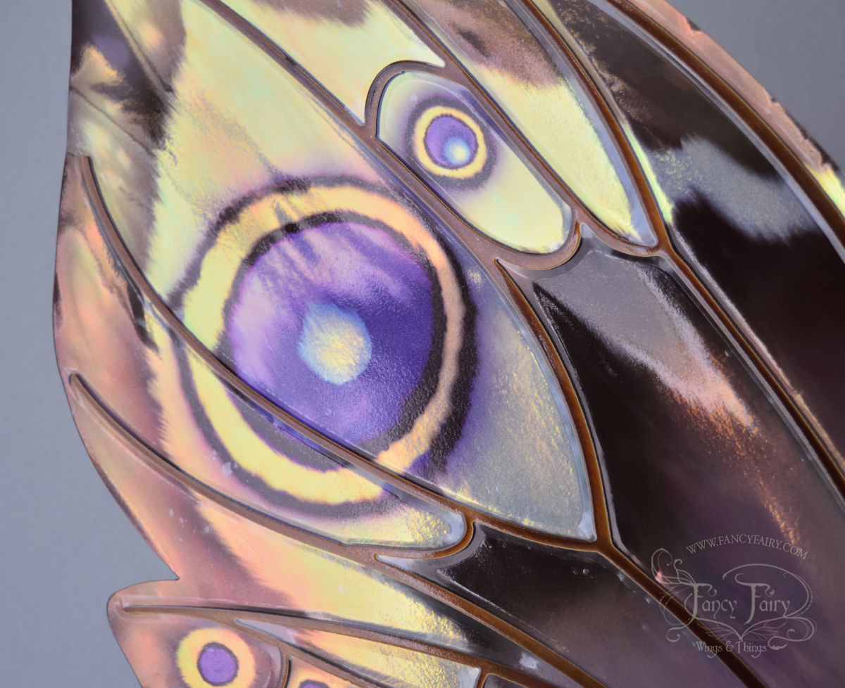 Closeup of wing tip and  'eye' spots painted in purples, yellow & black