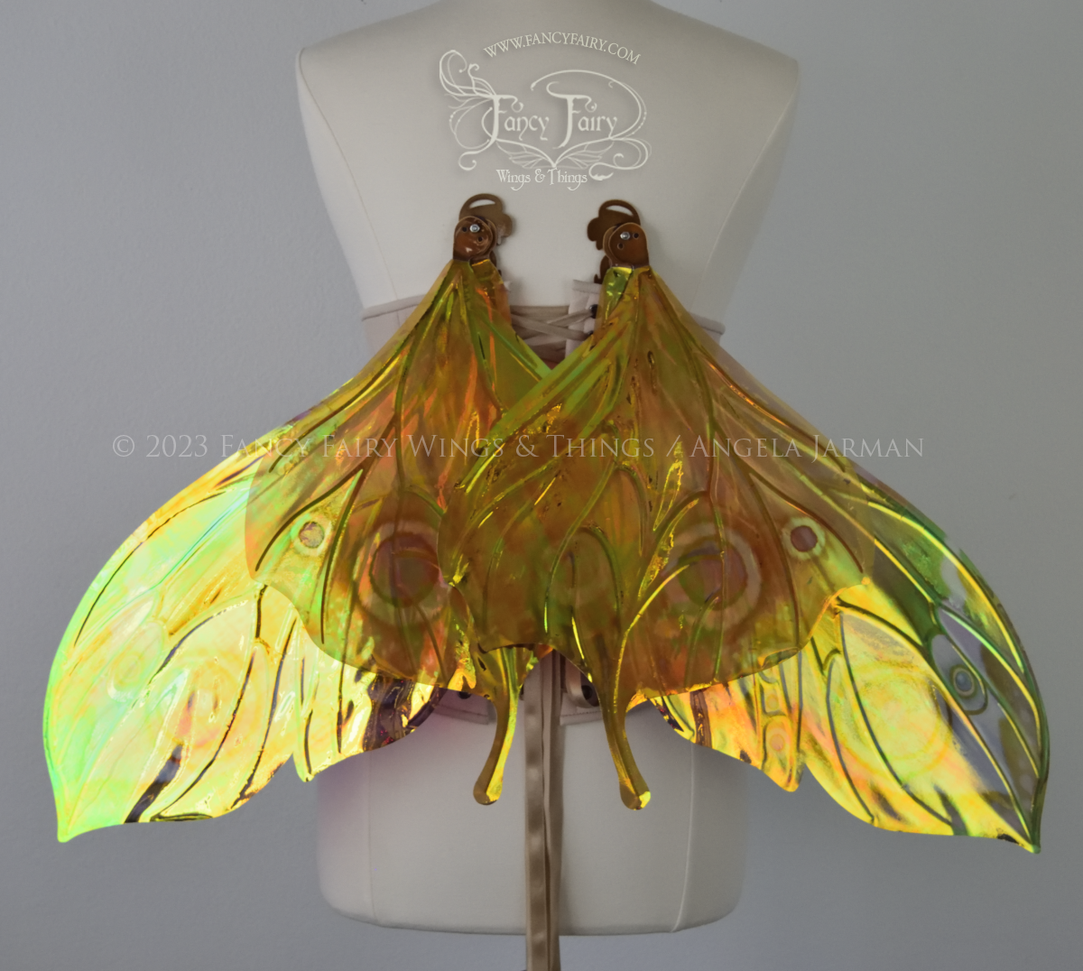 Back view of iridescent butterfly-shaped fairy wings painted with warm autumn colors & purple and black 'eye' spots, in resting position, worn on a dress form