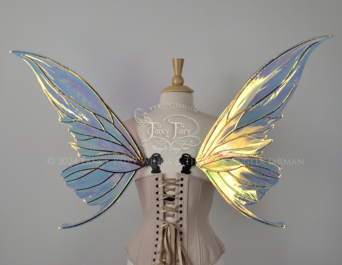 Back view of transparent iridescent fairy wings with slightly curved & pointed upper tips and 'tails' on the bottom panel that swoop up, the veins are black