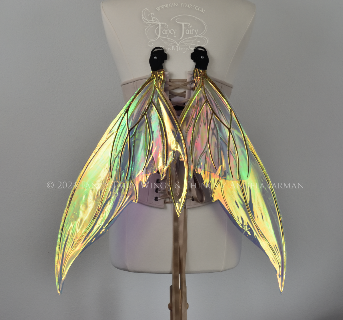 Back view of transparent iridescent fairy wings with slightly curved & pointed upper tips and 'tails' on the bottom panel that swoop up, the veins are black. Wings are in resting position