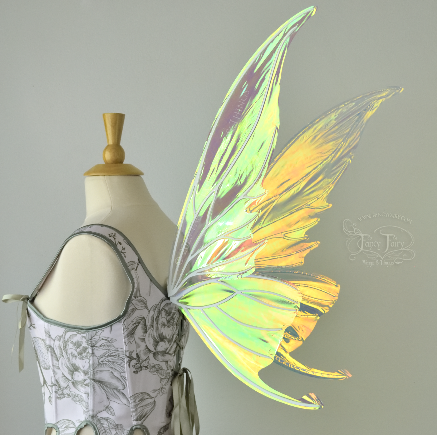 Iridescent transparent gold / orange / green fairy wings with small tails & white veins worn on a dress form, back 3/4 view