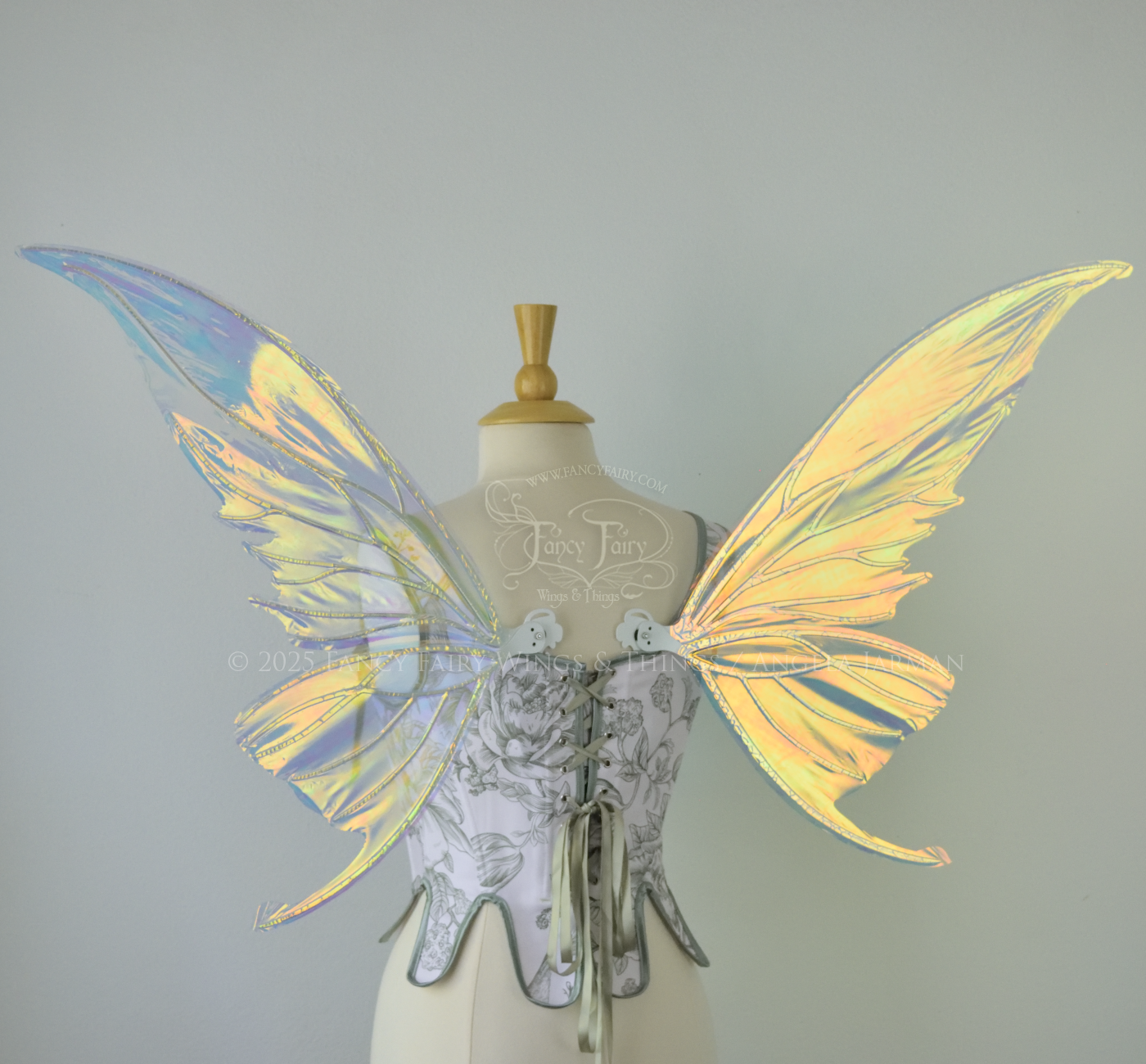 Iridescent transparent gold / orange / green fairy wings with small tails & white veins worn on a dress form, back view