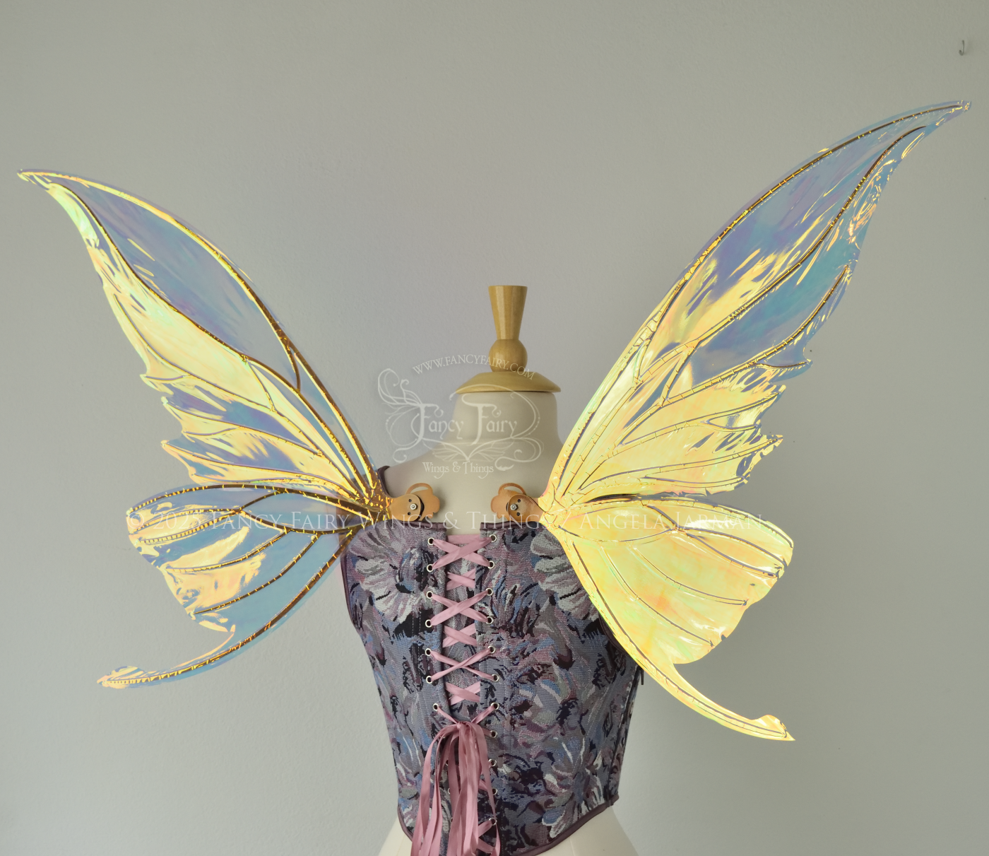 Iridescent transparent gold / orange / green fairy wings with small tails & black veins worn on a dress form, back view