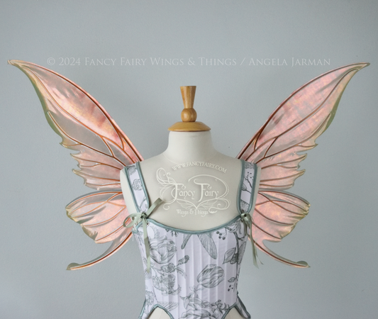 Large coppery iridescent fairy wings with brown and green accents, copper veins, worn with a white & sage green bodice on a dress form