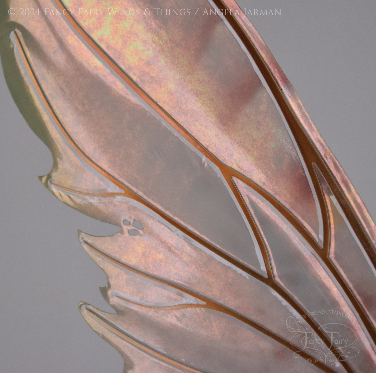 Closeup of coppery iridescent fairy wings with brown and green accents, copper veins