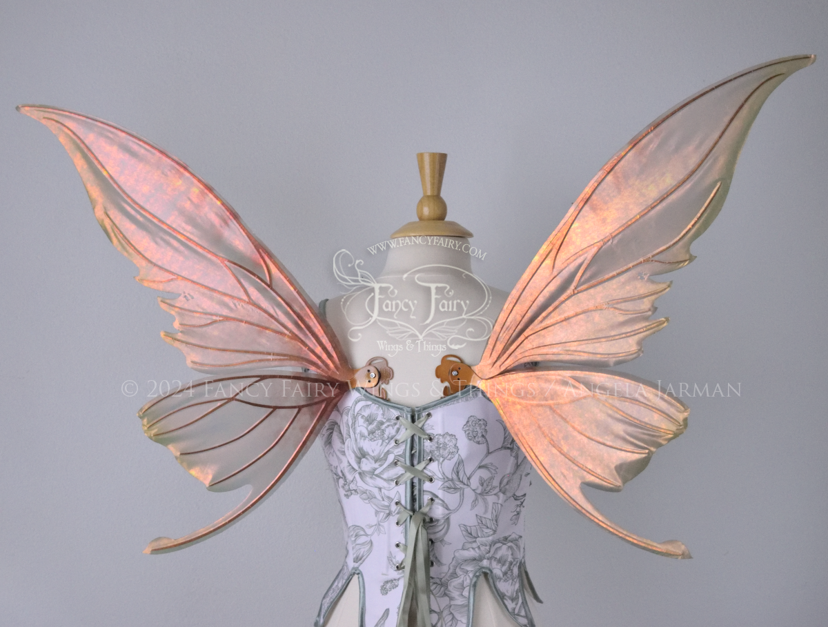 Large coppery iridescent fairy wings with brown and green accents, copper veins, worn with a white & sage green bodice on a dress form, back view