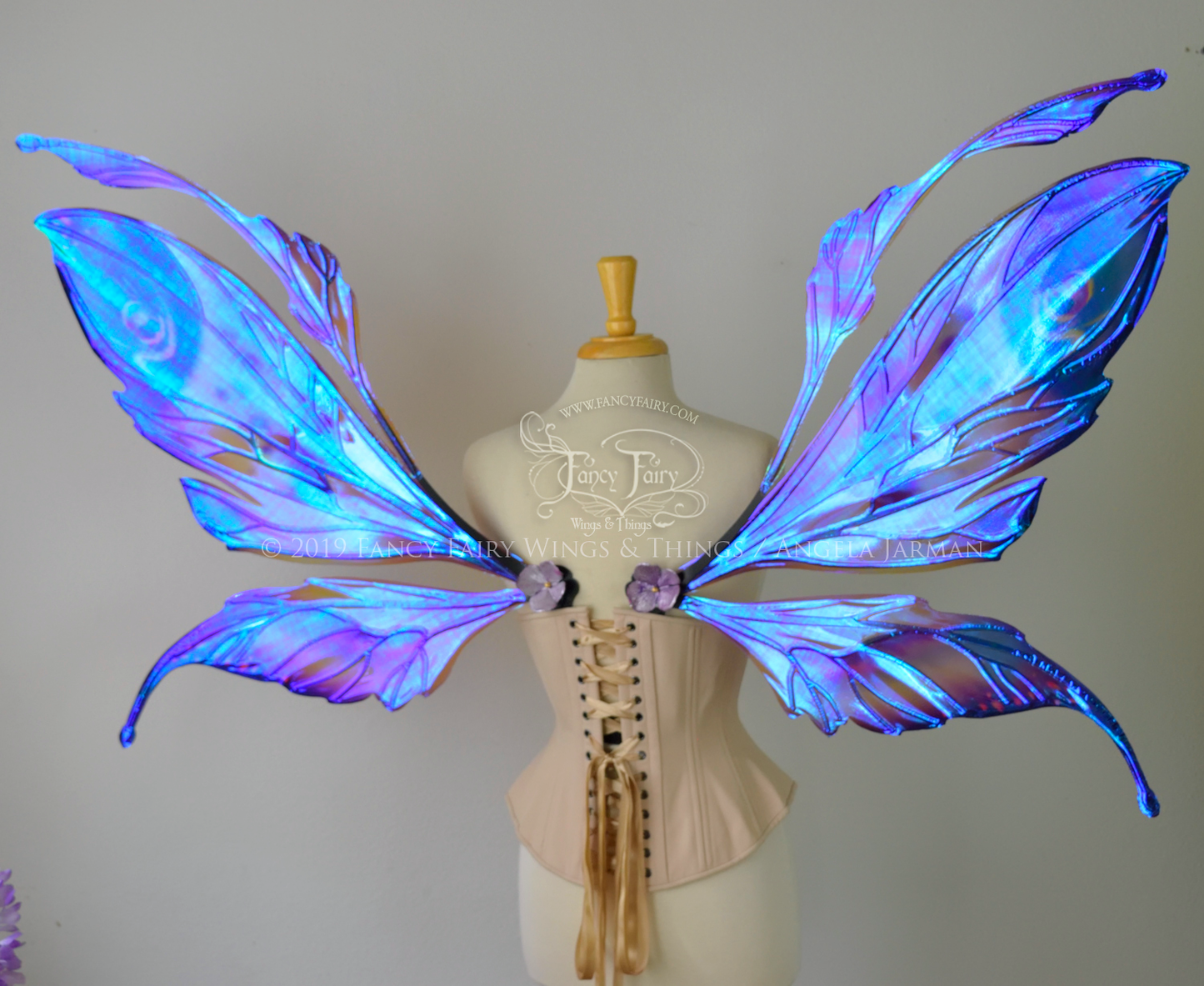Back view of a dress form wearing an underbust corset & extra large iridescent fairy wings with mauve purple & blue color pattern 