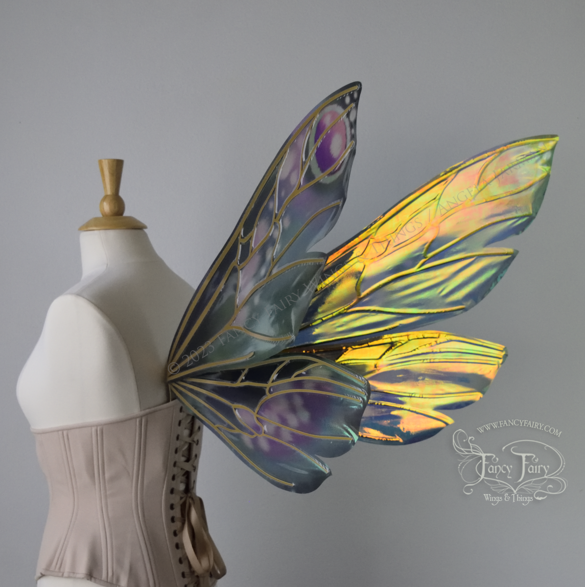 Back 3/4 view of extra large iridescent fairy wings in various shades of green, teal, blue, lavender with touches of pink, with gold veins, worn on a dress form with underbust corset