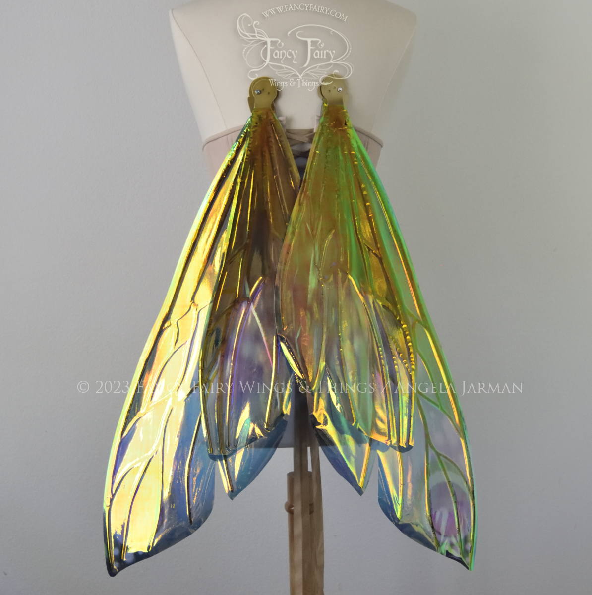 Back view of extra large iridescent fairy wings in various shades of green, teal, blue, lavender with touches of pink, with gold veins, worn on a dress form with underbust corset, wings in resting position