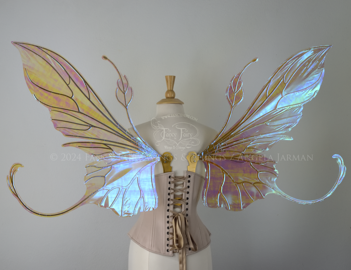 Back view of a dress form wearing an underbust corset & large blue / peach iridescent fairy wings with elongated upper panels & antennae with bottom panels that have a tail curving upwards, gold veins